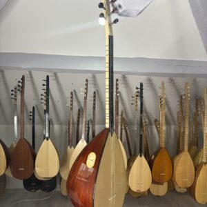 Kısa sap ardic ağacı bağlama