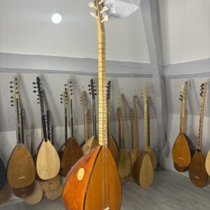 Uzun sap kiraz ağacı bağlama