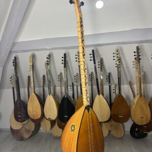 Uzun sap dut ağacı bağlama