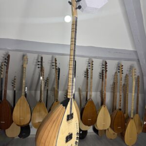 Elektro baglama