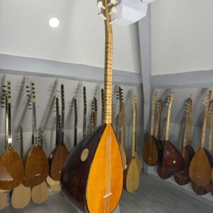 Kısa sap kiraz agaci baglama